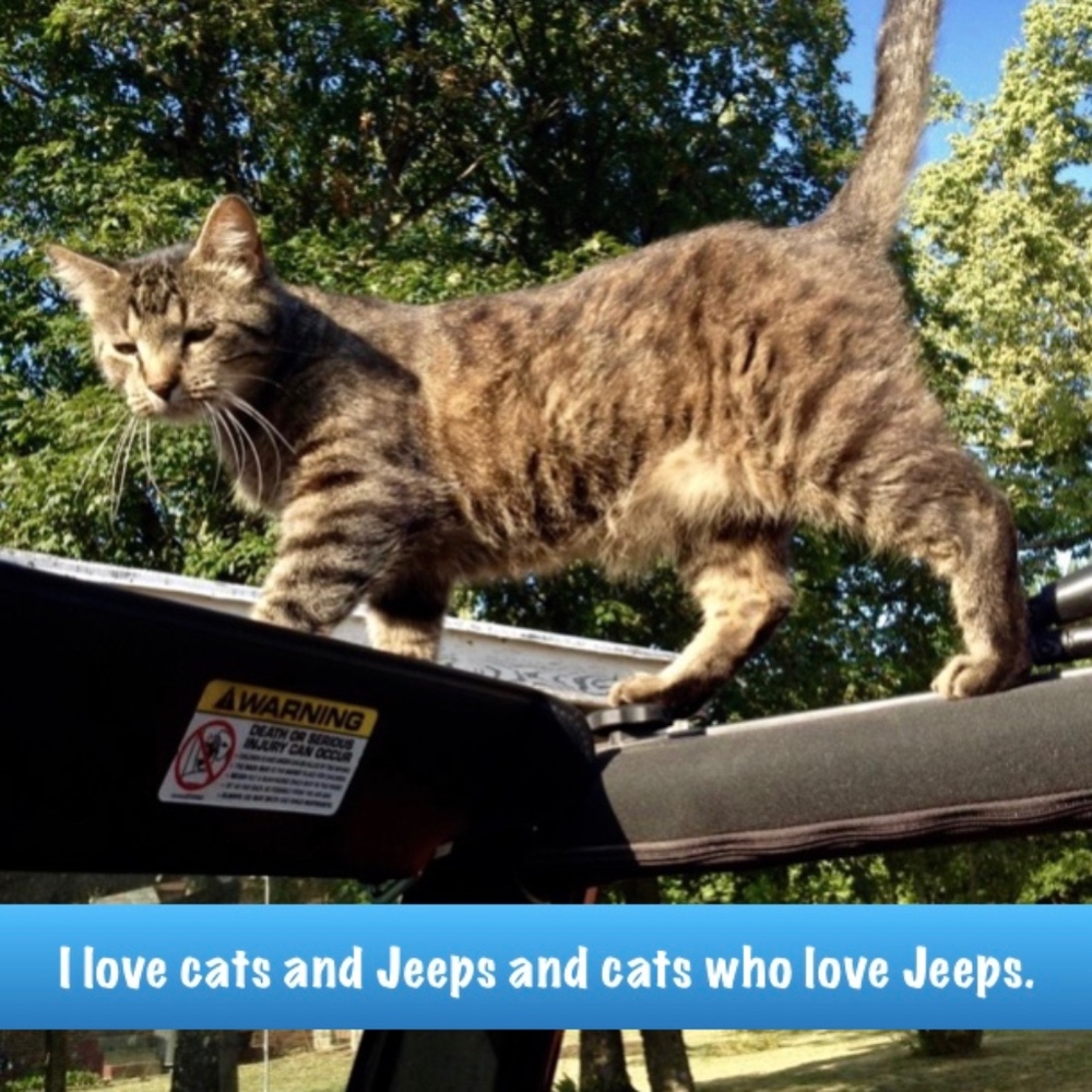 Meet your Posher, Kansas_Kate